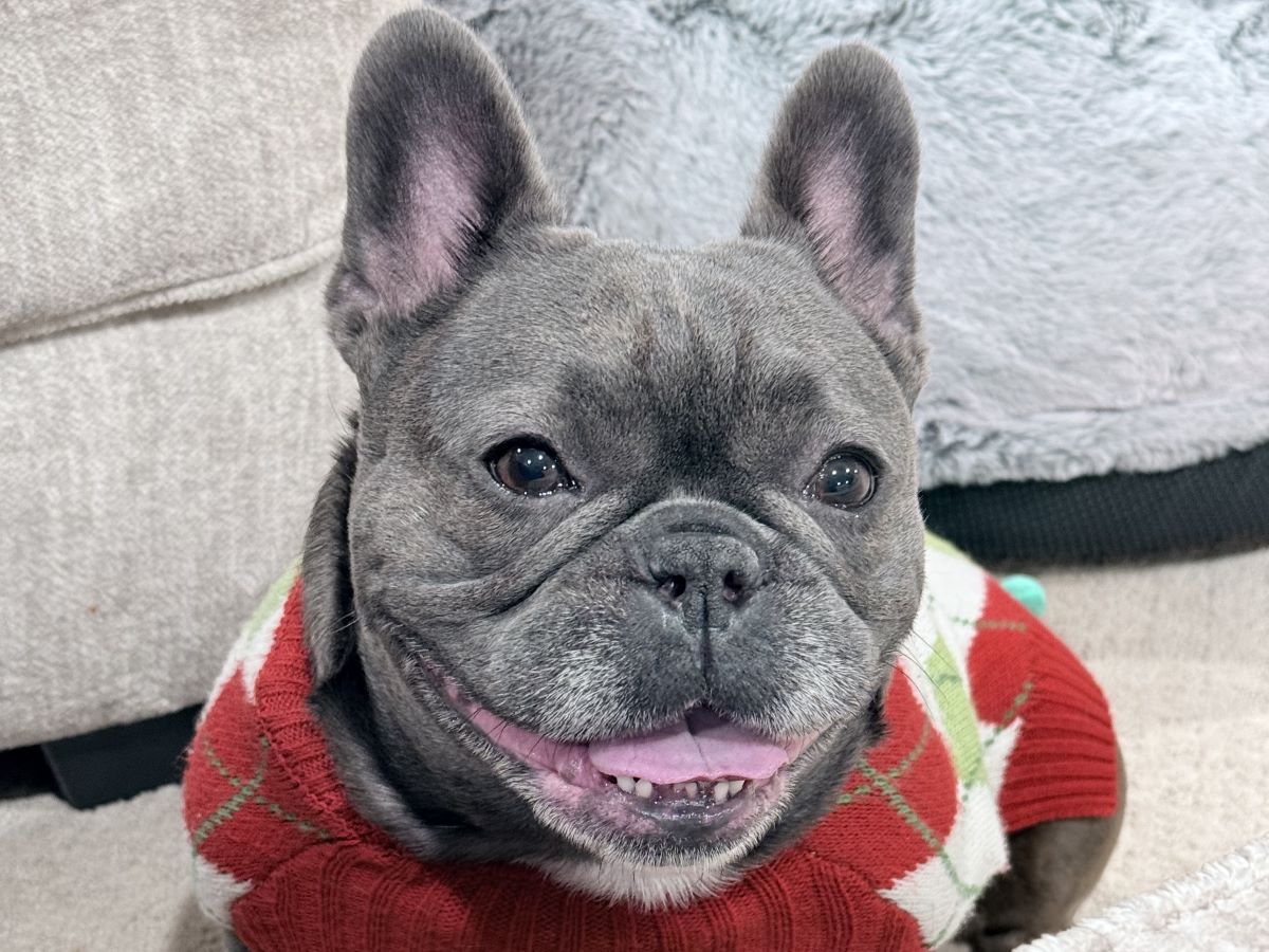 lola